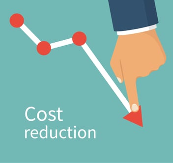 How to reduce your Business Process Management (BPM) Consulting costs?