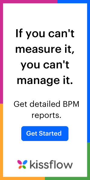 BPM Software