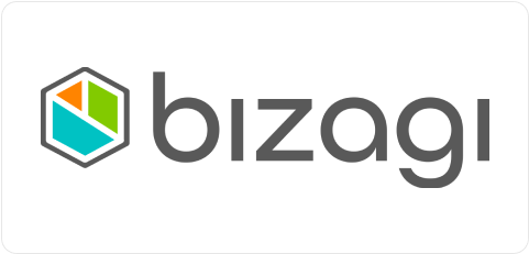 bizagi