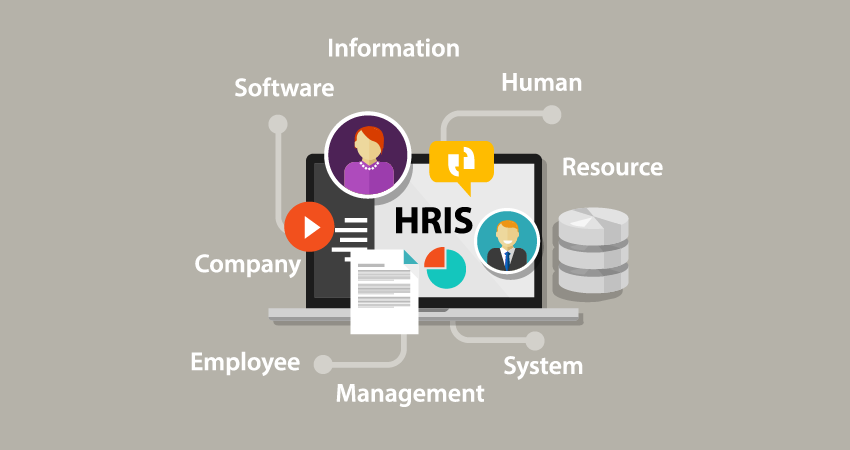 human resource information system software